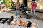 Hai người đàn ông trộm chó mèo ở Tây Ninh