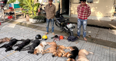 Hai người đàn ông trộm chó mèo ở Tây Ninh
