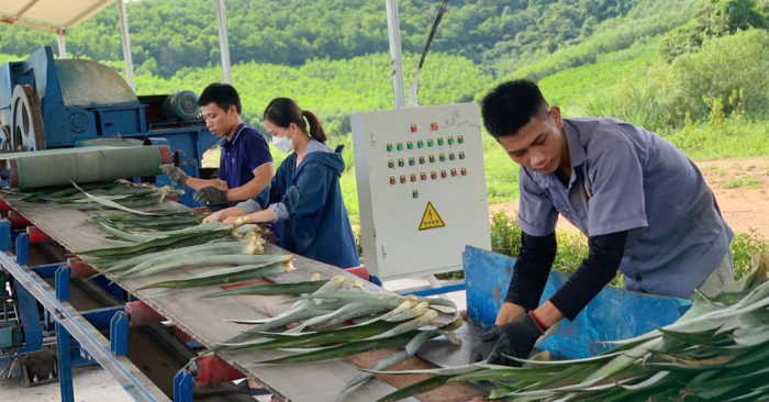 Biến Rác Thành Vải Lụa Từ Sáng Tạo Của Kỹ Sư Việt