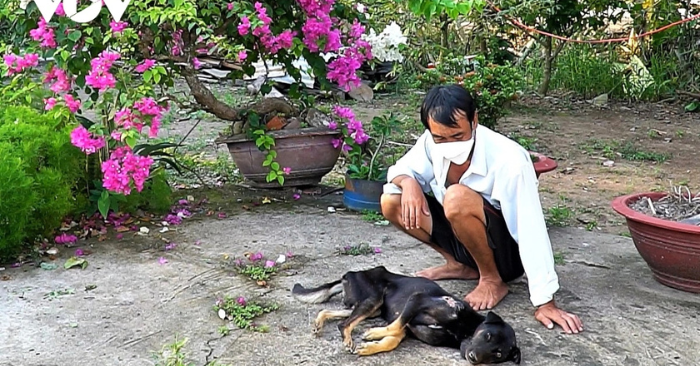 Hai người đàn ông trộm chó mèo ở Tây Ninh