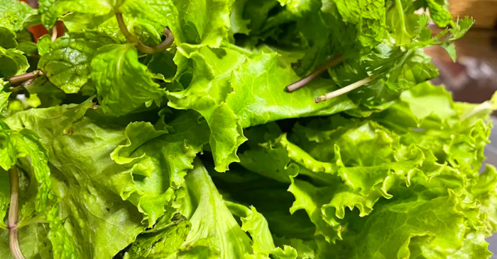 Món khoái khẩu tiềm ẩn nguy cơ nhiễm giun