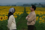 Cánh đồng hoa hướng dương Nghệ An hút khách vì đẹp như nước ngoài