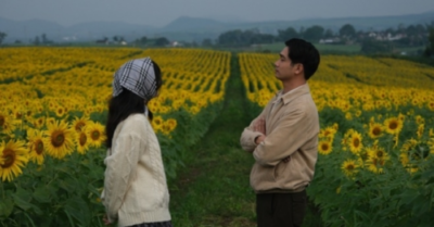 Cánh đồng hoa hướng dương Nghệ An hút khách vì đẹp như nước ngoài