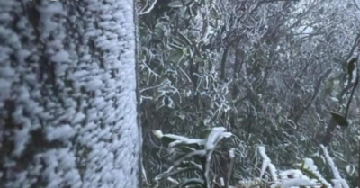 Không khí lạnh mạnh tràn về, miền Bắc rét sâu trong những ngày đầu năm 2026