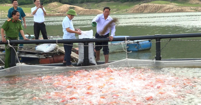 nuôi cá diêu hồng xuất khẩu Nhật Bản