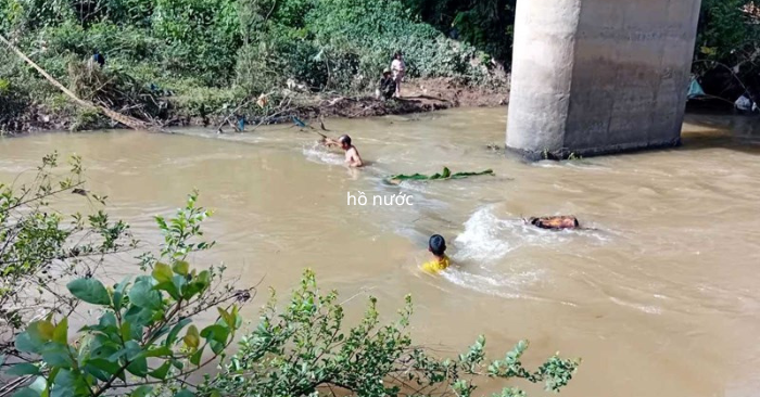 3 học sinh rơi xuống hồ nước ở Lâm Đồng khi vui chơi