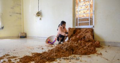 Lâm Đồng tìm cách san gạt quả đồi sạt lở như động đất để bảo vệ nhà dân