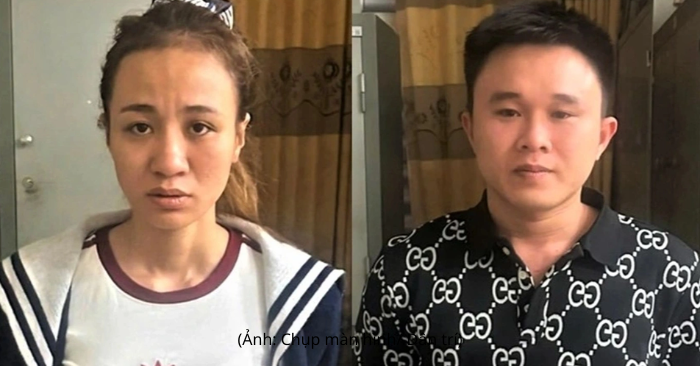 che giấu tội phạm ma túy