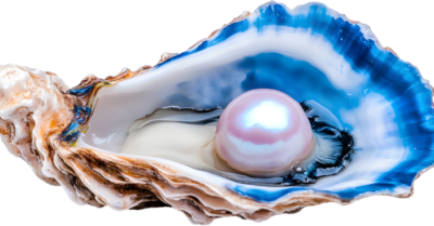 Điển cố “Châu về Hợp Phố”