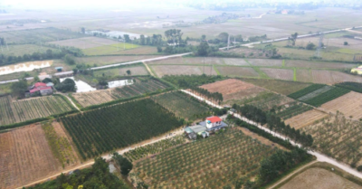 Từ câu “khích tướng”, nông dân biến đất hoang thành trang trại kiểu mẫu