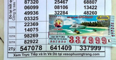 Việt Nam nhận “lá phiếu tín nhiệm” khi Đức phê chuẩn Hiệp định EVIPA