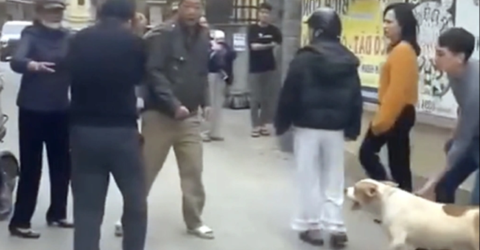 Thanh niên dắt chó dữ vào điểm ẩu đả, người phụ nữ bất ngờ trở thành nạn nhân