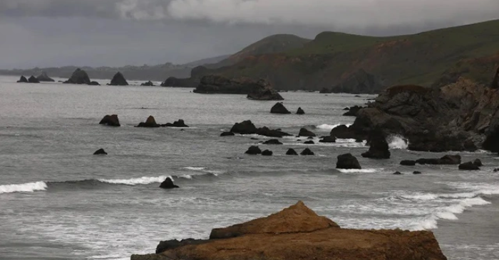 Chấn động “Tam giác Đỏ”: Cá mập trắng liều lĩnh tấn công người lướt sóng