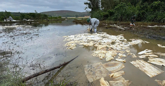 tràn dầu diesel ở Dung Quất