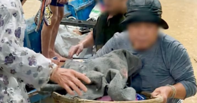 Mẹ và bé sơ sinh bị từ chối trú lũ