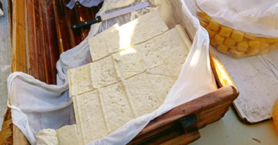 Top 10 thực phẩm giàu protein chất lượng cao: Đậu phụ không có tên, sữa cũng không đứng đầu