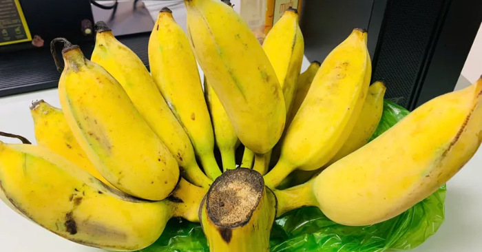 ăn chuối buổi tối