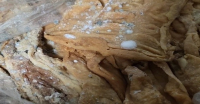 Phát hiện 1,68 tấn lòng lợn không rõ nguồn gốc cất giữ trong sân nhà dân ở Quảng Ninh