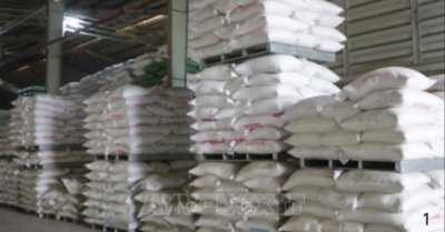 Giá gạo xuất khẩu tăng nhẹ nhờ nhu cầu thị trường quốc tế khởi sắc