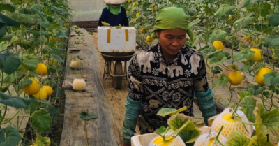 Kinh tế tập thể, hợp tác xã – chìa khóa giảm nghèo bền vững hiện nay