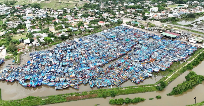 Thu phí cảng cá Quảng Ngãi chưa thống nhất, mỗi nơi áp dụng một cách
