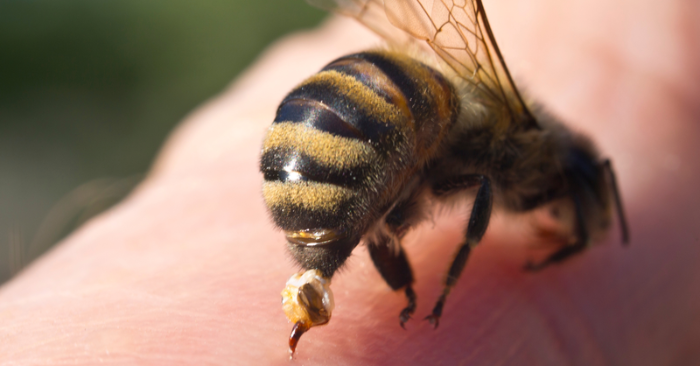 Cần Thơ ra quân cao điểm trấn áp tội phạm