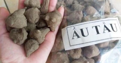 Sau bát canh ấu tàu, bệnh nhân rơi vào tình trạng ngộ độc nguy hiểm