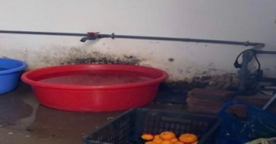 Phát hiện loạt vi phạm nghiêm trọng trong công tác cung cấp suất ăn bán trú của Công ty Nhật Anh