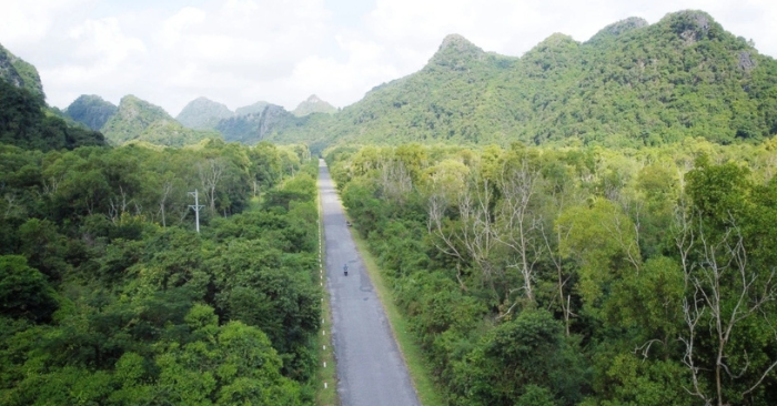 Hải Phòng khai thác tín chỉ carbon