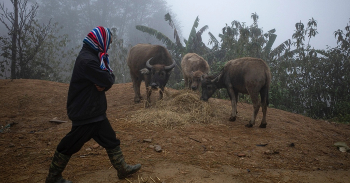 Miền Bắc trời rét và cảnh báo thời tiết biển