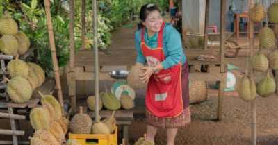 Sầu riêng Việt Nam có thêm đối thủ cạnh tranh khi Lào được phép xuất khẩu sang Trung Quốc