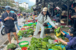 Giá rau tại Đà Nẵng tăng mạnh, ớt tươi chạm 150.000 đồng/kg