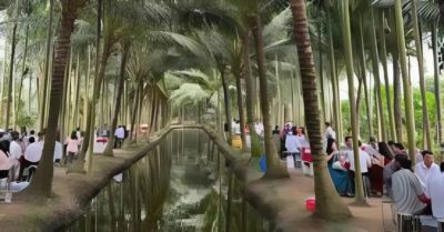 Đám cưới “triệu view” ở miền Tây: Chú rể đãi 80 bàn tiệc giữa vườn dừa xanh mát