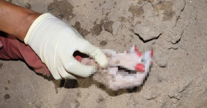 Phát hiện thi thể nữ trên sông Sài Gòn