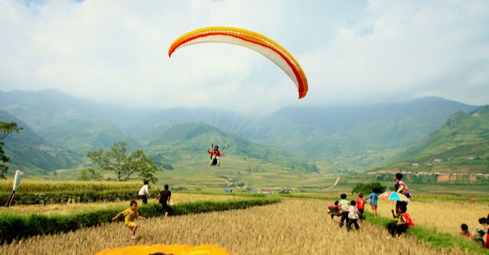 Bay trên mùa vàng