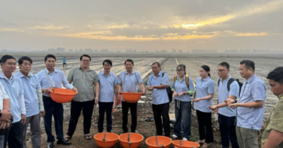 Nông dân hào hứng “Gieo mầm sinh thái”   trên đất Tràm Chim