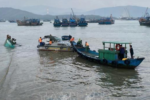 4 ngư dân được cứu sau vụ chìm tàu gần đảo Hòn La vào rạng sáng 7/12