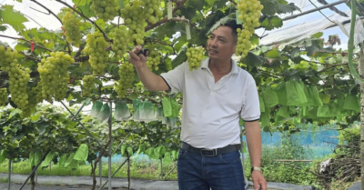 Xây dựng nông thôn mới: 15 năm mở đường cho giai đoạn phát triển mới