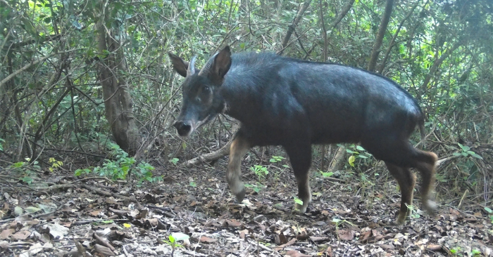 Khu bảo tồn tại Ninh Bình