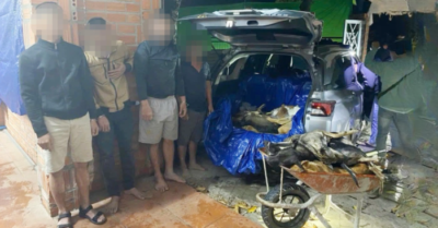 Hơn 1,5 tấn chó bị thu giữ: Công an Tây Ninh đánh sập đường dây trộm cắp xuyên đêm