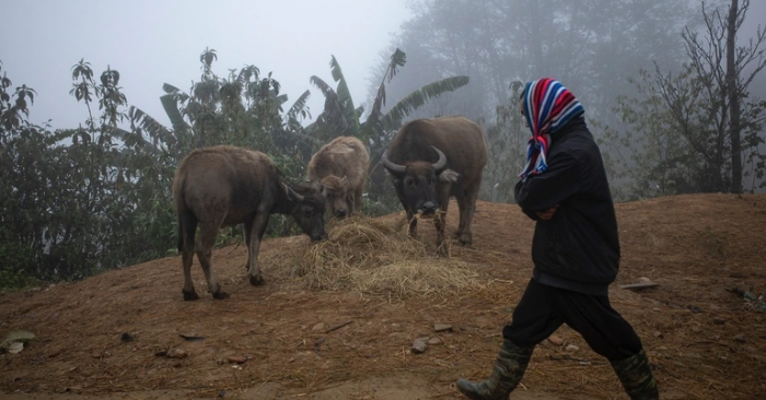 Miền Bắc rét đậm, rét hại kéo dài nhiều ngày