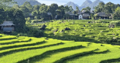 Tàu hỏa va chạm với cần cẩu ở Thái Lan, hơn 100 người thương vong