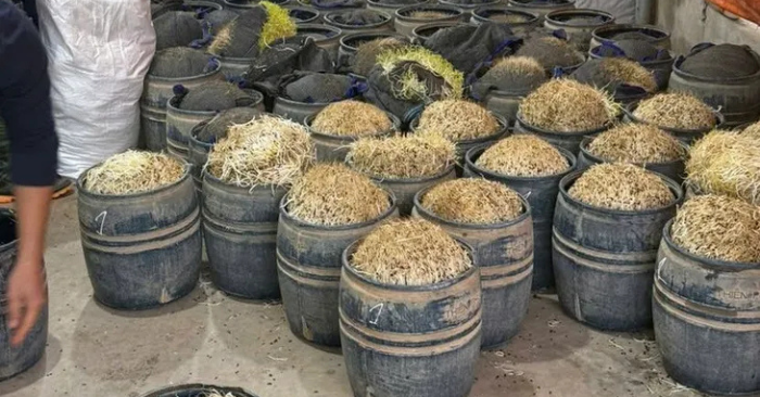 Sản xuất giá đỗ dùng chất cấm: Lộ danh tính hai chủ cơ sở