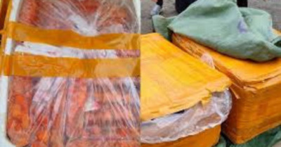 Thực phẩm bốc mùi bị chặn trong ngày nghỉ lễ