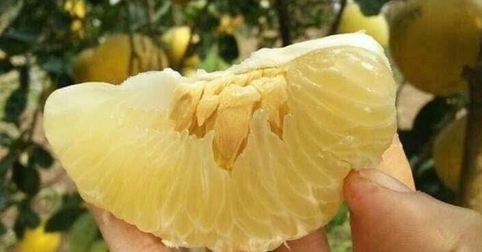 Bưởi Giảm Cân Có Thay Được Rau Không?