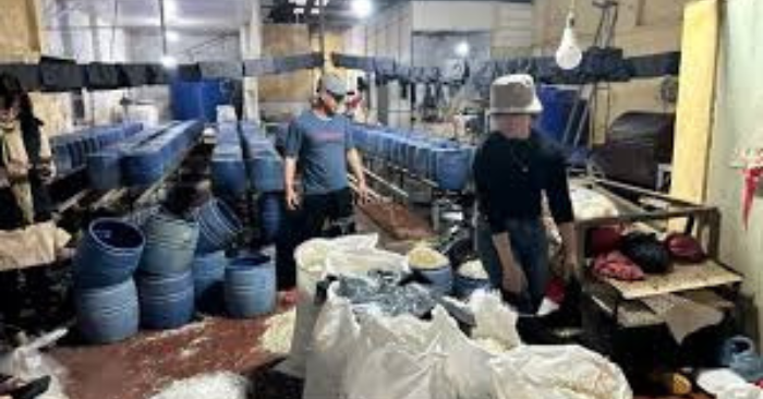 Sản xuất giá đỗ dùng chất cấm: Lộ danh tính hai chủ cơ sở