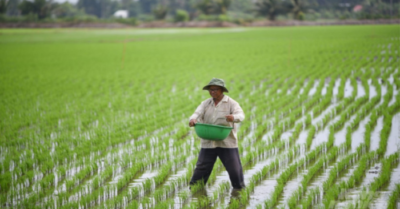 Quy định về đối tượng, thời hạn miễn thuế sử dụng đất nông nghiệp giai đoạn 2026–2030