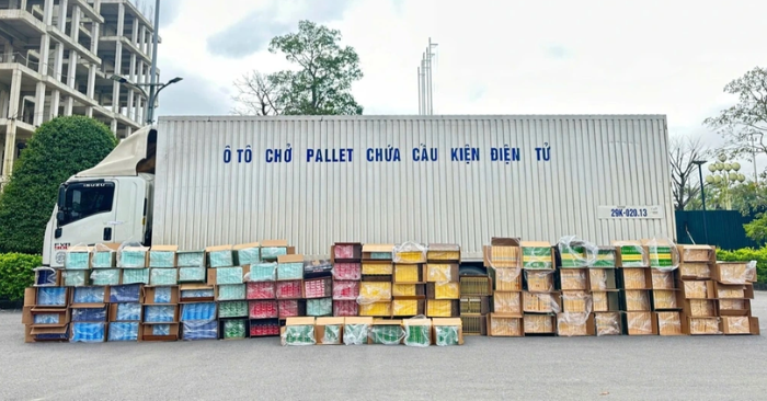 Thuốc lá lậu hơn 6 tỷ đồng: Truy đuổi xe tải không chấp hành hiệu lệnh tại Quảng Trị