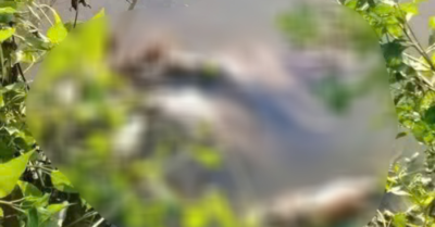 Án mạng nữ sinh lớp 7 ở Cà Mau: Sống cùng ông ngoại vì cha mẹ đi làm xa