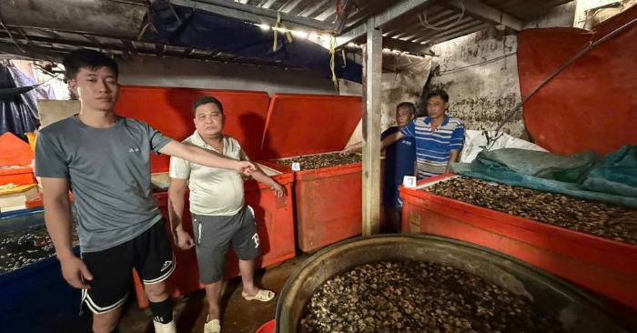 Thủ đoạn tinh vi của chủ cơ sở ngâm hàng nghìn tấn ốc bằng hóa chất ở TPHCM